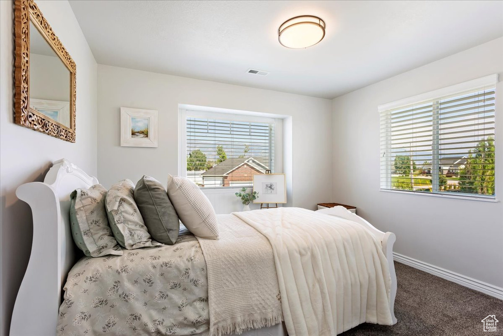 Carpeted bedroom with multiple windows