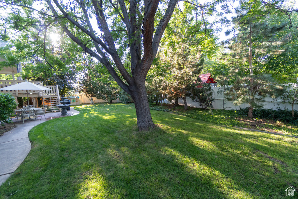 View of yard with a patio area