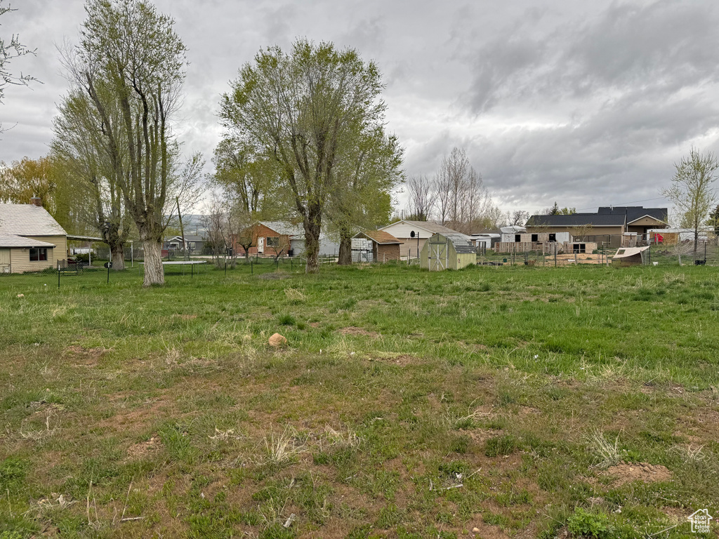 View of yard with a storage unit