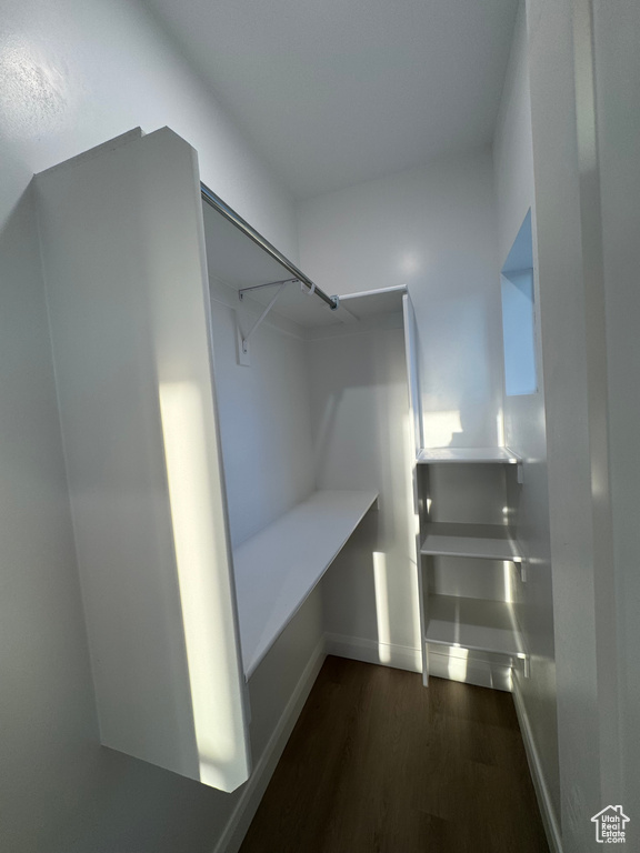 Walk in closet featuring dark wood-type flooring