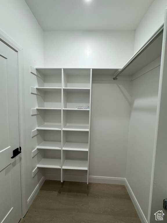 Walk in closet featuring wood finished floors