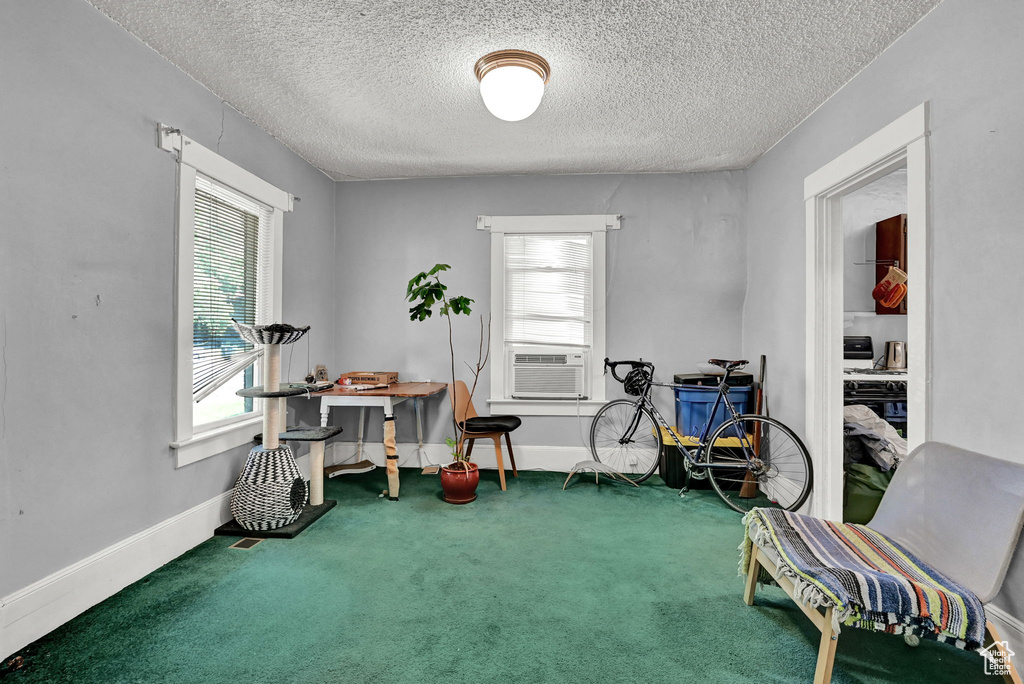 Interior space with carpet floors, a textured ceiling, and cooling unit