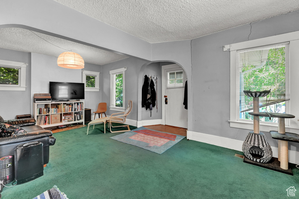 Carpeted living room featuring a textured ceiling and a healthy amount of sunlight