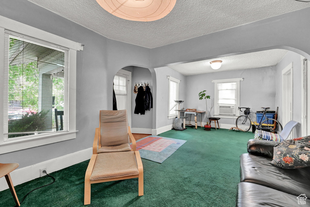 Living room featuring a textured ceiling, carpet floors, and cooling unit