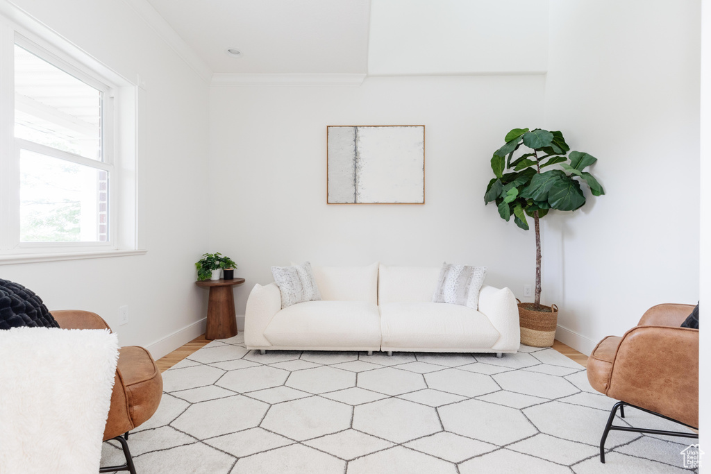 Living room with light hardwood / wood-style flooring and ornamental molding