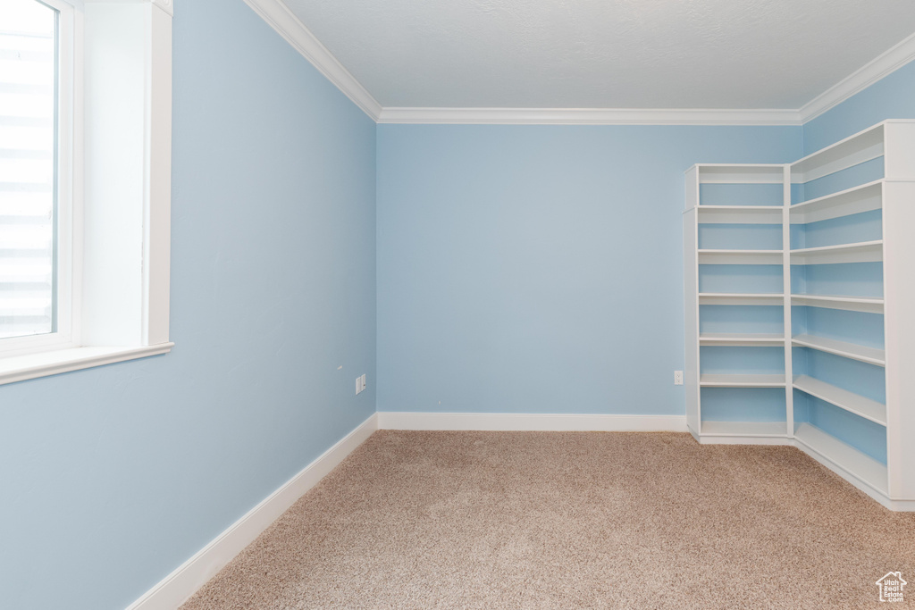 Spare room with carpet and ornamental molding