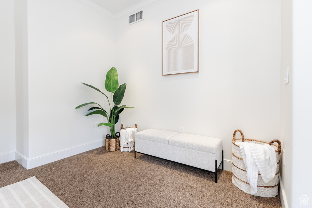 Sitting room with carpet and crown molding