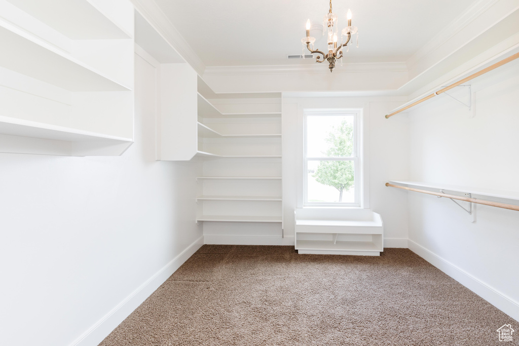 Spacious closet featuring an inviting chandelier and carpet flooring