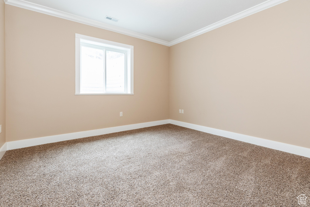 Empty room with carpet and crown molding