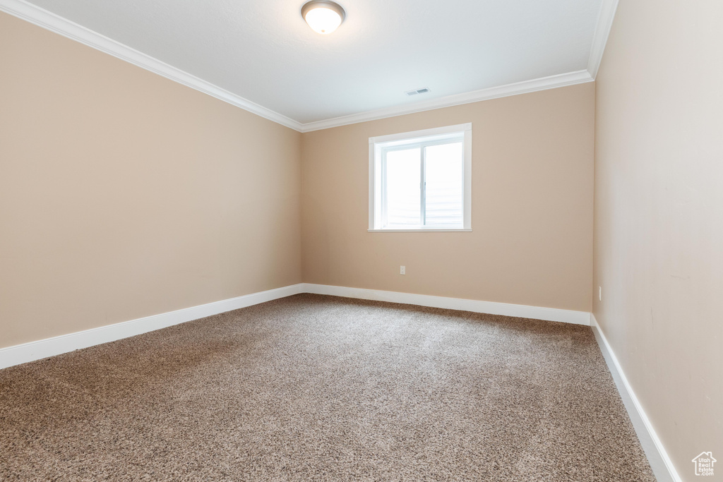 Carpeted empty room with ornamental molding