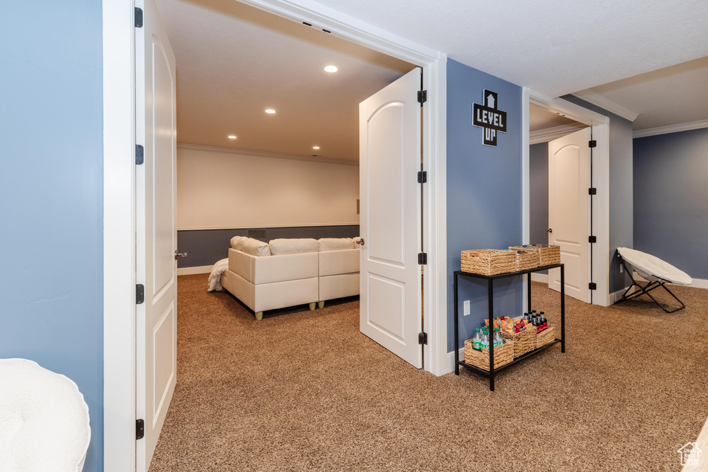 Interior space with carpet and crown molding