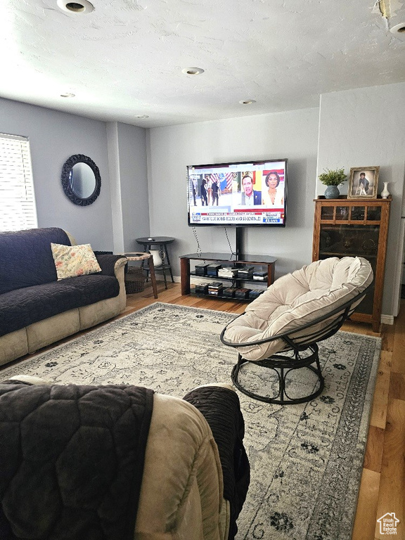 Living room featuring wood-type flooring