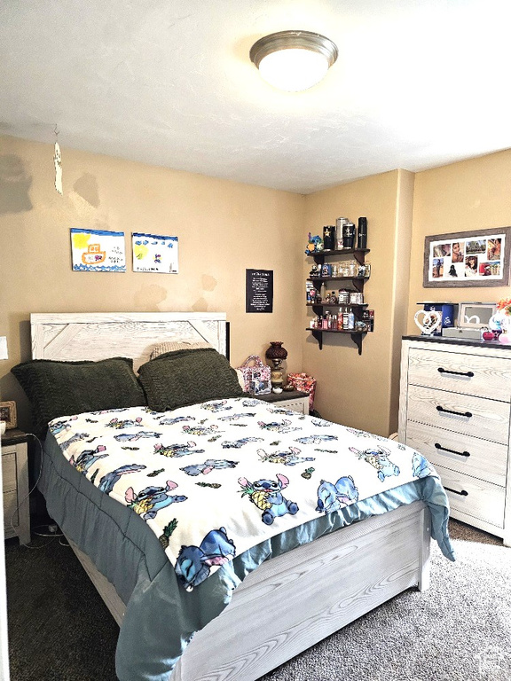 Bedroom with carpet floors