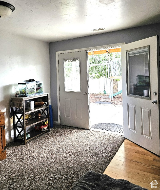 Foyer entrance featuring a wealth of natural light and hardwood / wood-style floors