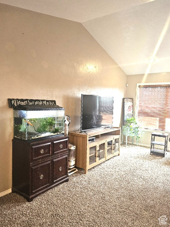 Living room featuring carpet and lofted ceiling