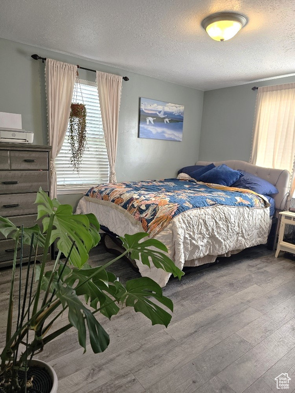 Bedroom featuring wood-type flooring, a textured ceiling, and multiple windows