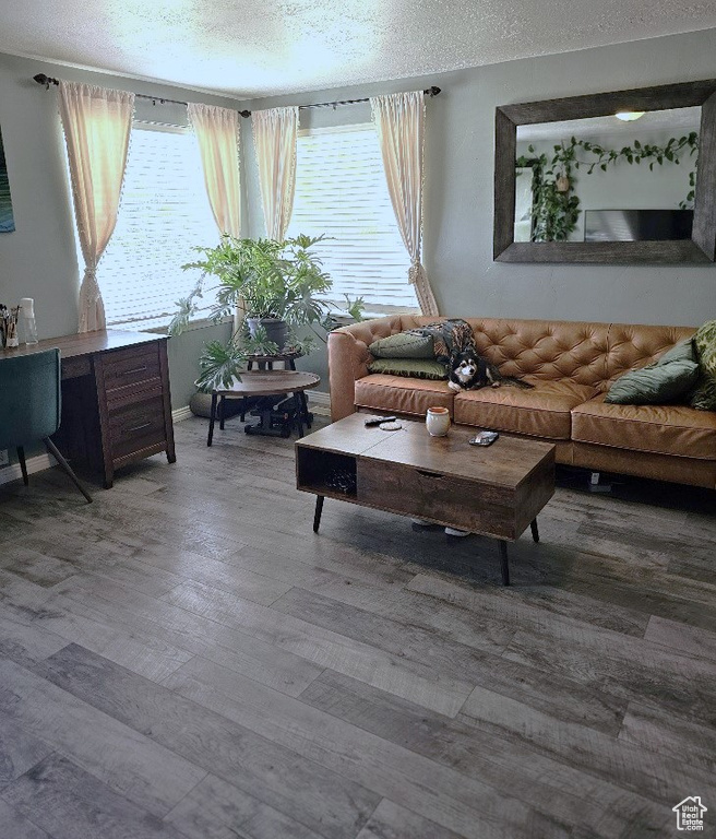 Living room featuring a textured ceiling, wood-type flooring, and a wealth of natural light