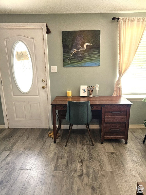 Foyer entrance featuring hardwood / wood-style floors