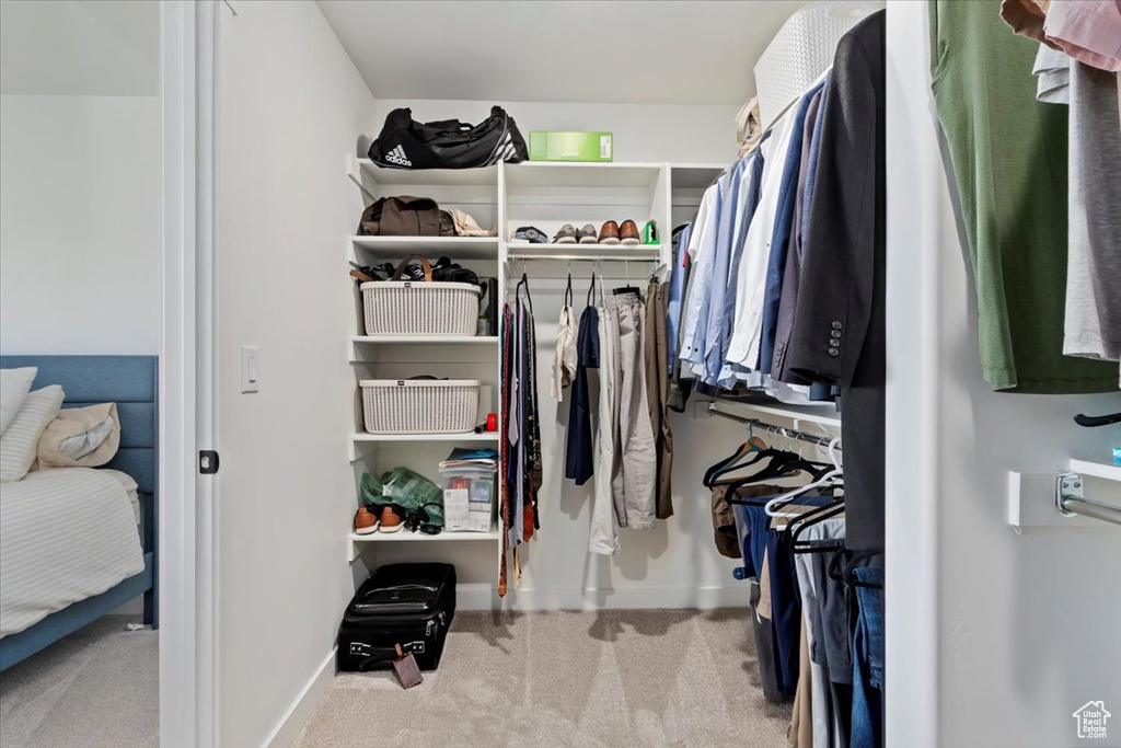 Walk in closet with carpet floors