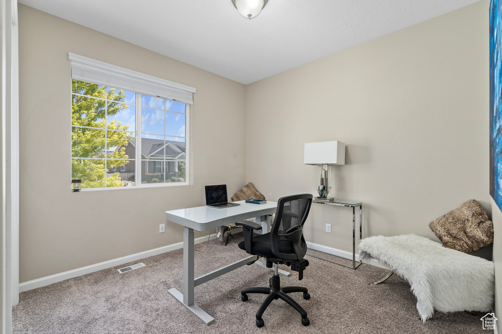 Carpeted office space featuring a healthy amount of sunlight