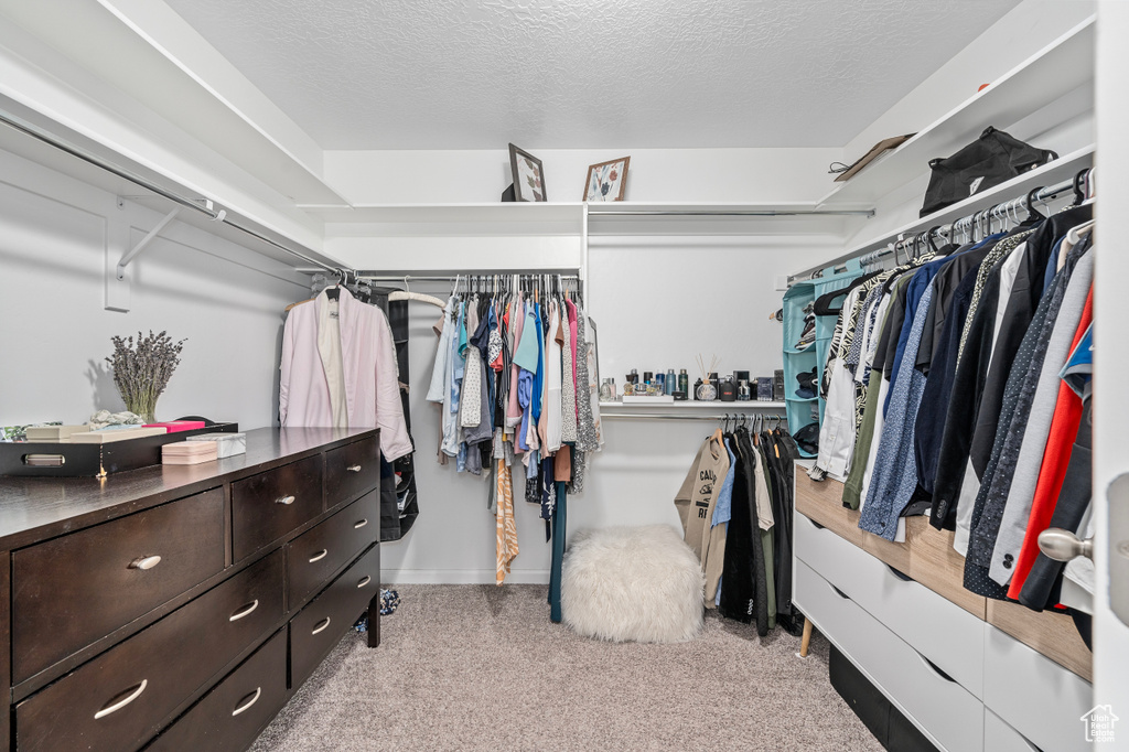 Walk in closet featuring light colored carpet