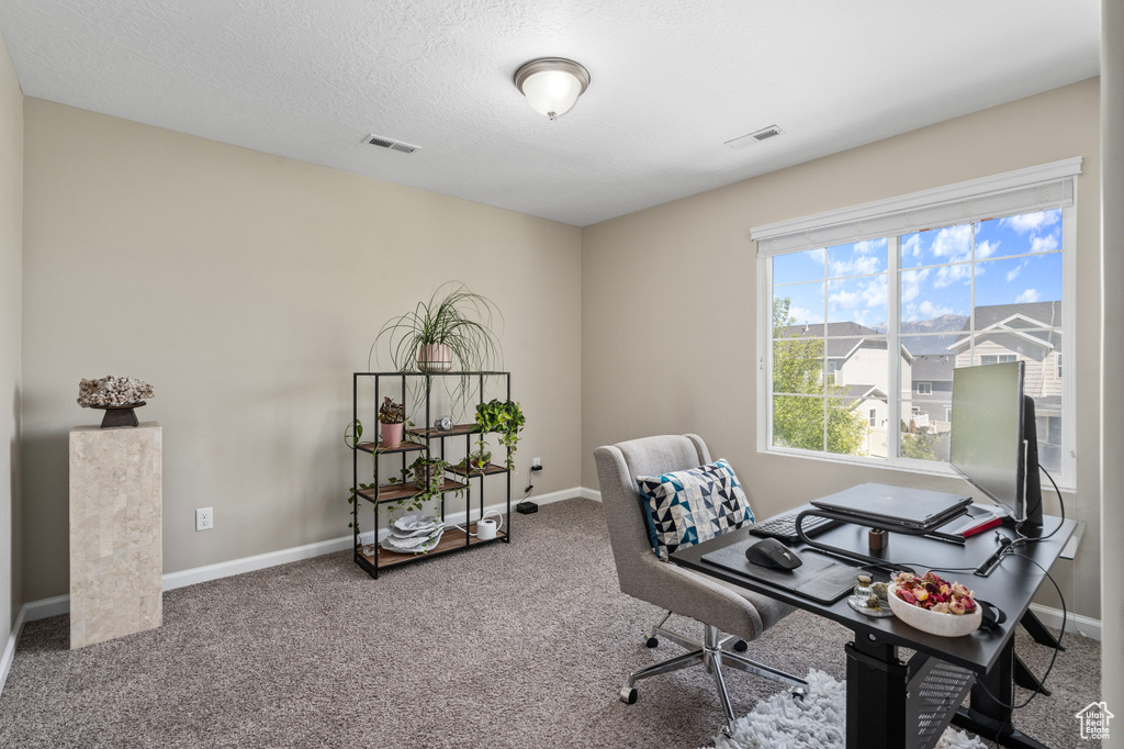 Carpeted office space featuring a textured ceiling