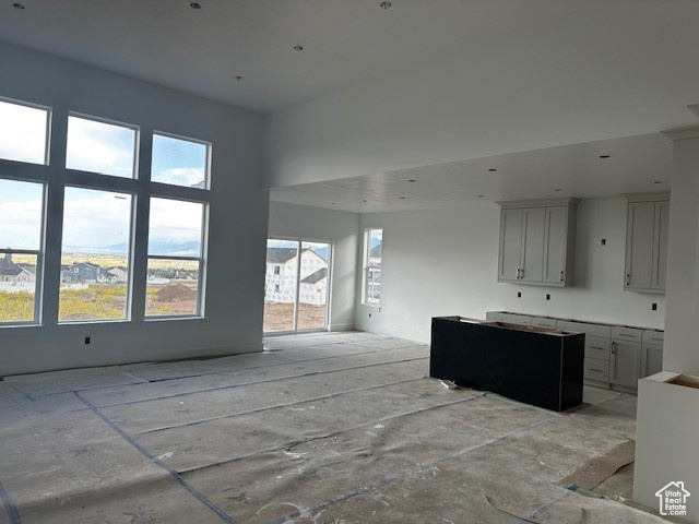 Kitchen featuring gray cabinets