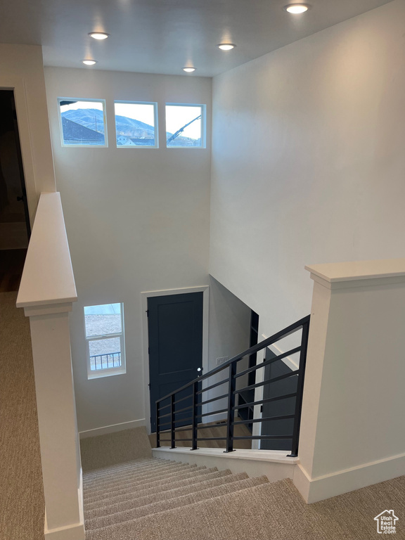 Staircase featuring carpet floors