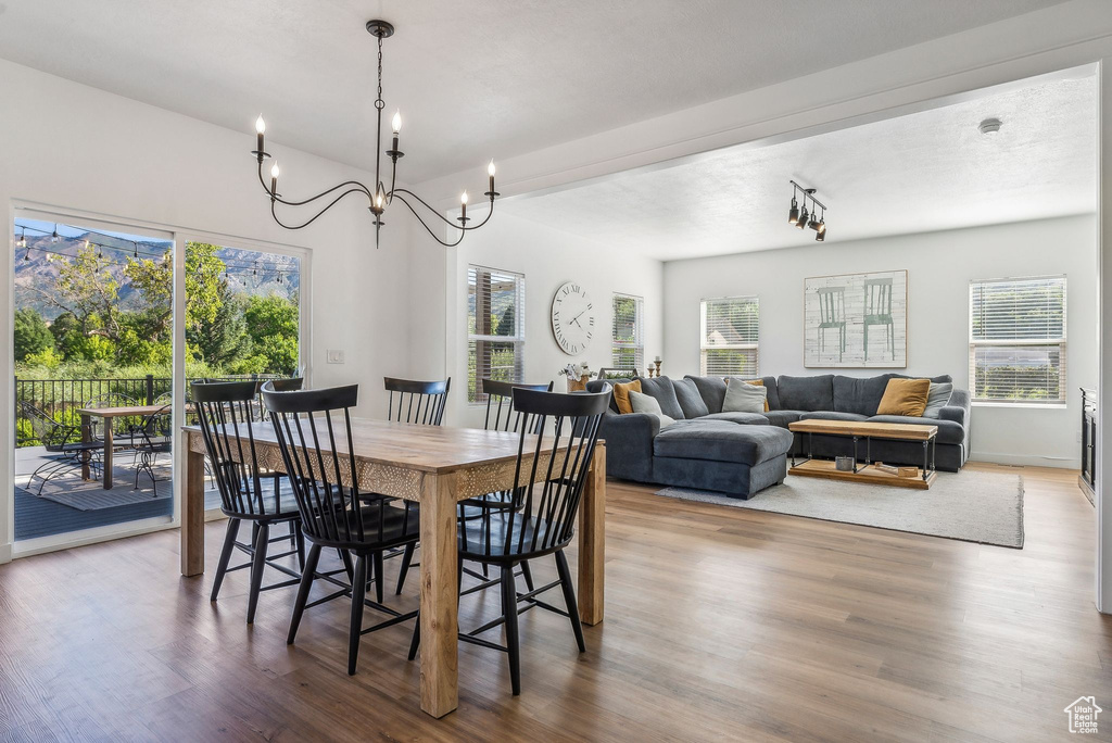 Dining area featuring a wealth of natural light, hardwood / wood-style flooring, and a chandelier