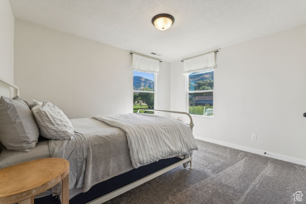 Bedroom with carpet floors