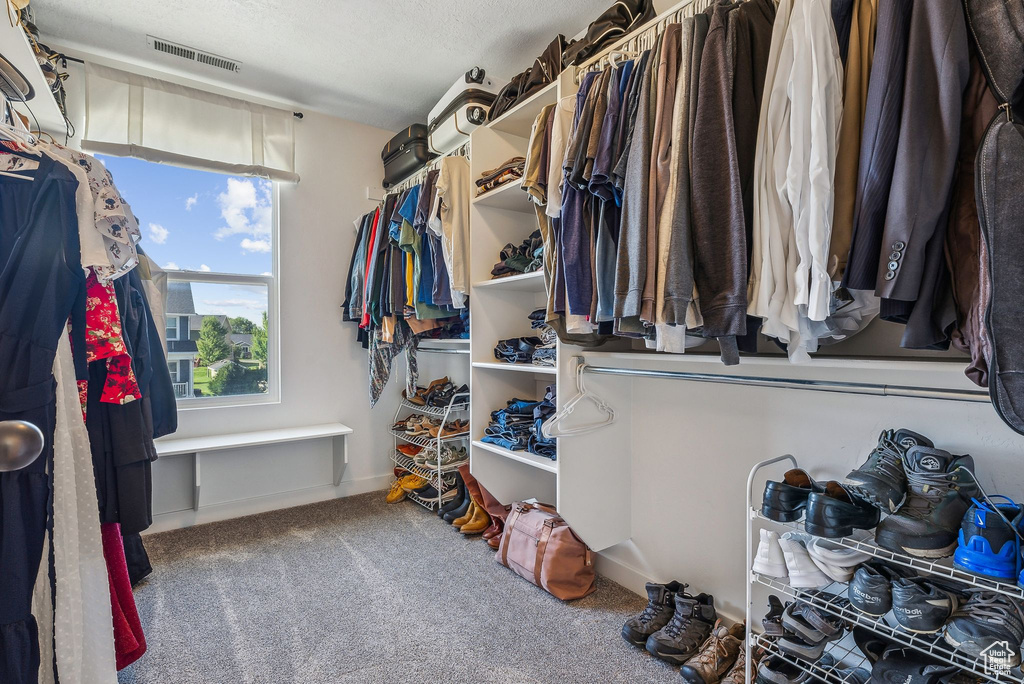 Walk in closet with carpet