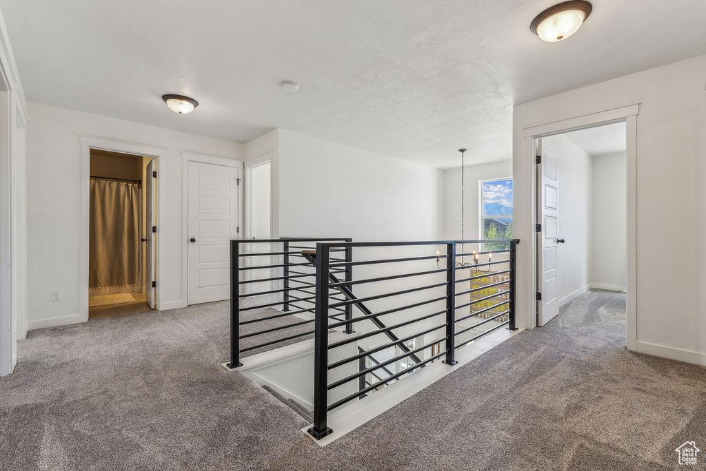 Hallway featuring carpet floors