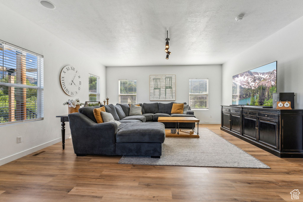 Living room featuring light hardwood / wood-style flooring and a healthy amount of sunlight