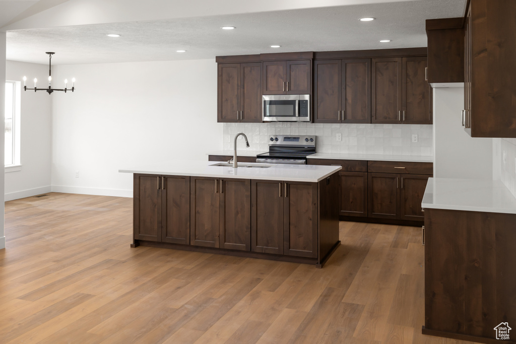 Kitchen with light hardwood / wood-style flooring, stainless steel appliances, and dark brown cabinets