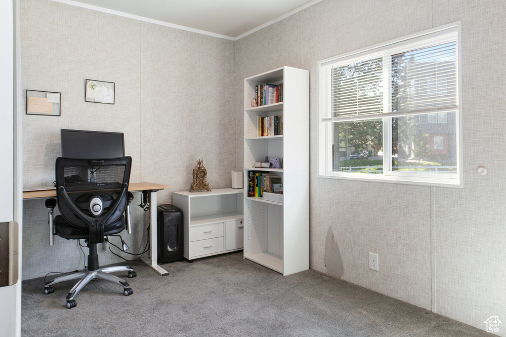 Carpeted home office with a wealth of natural light and ornamental molding