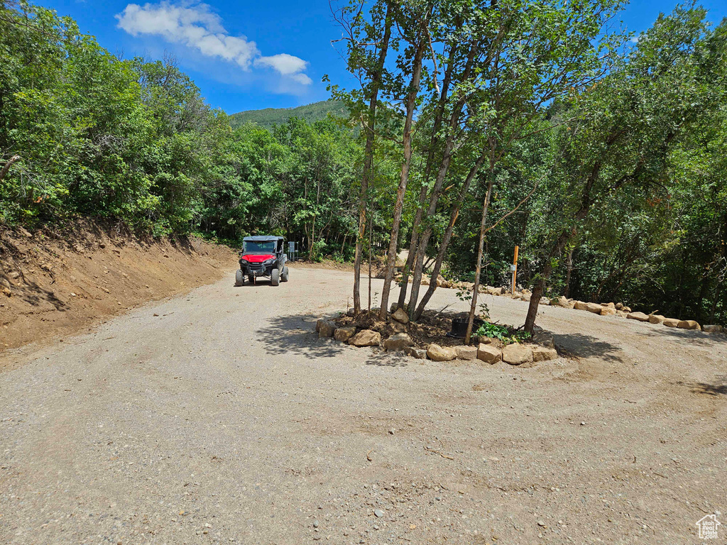 View of road