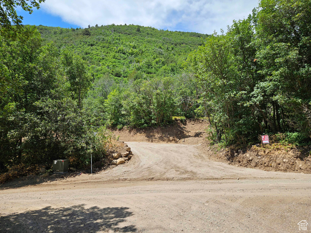 View of road