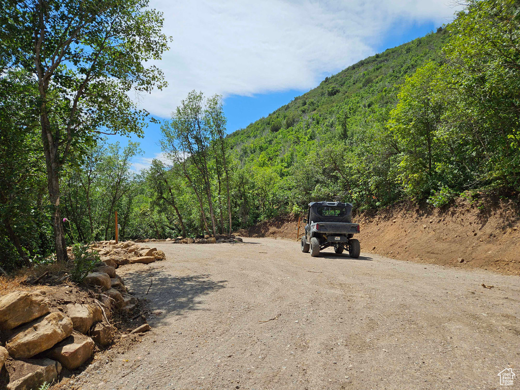 View of road