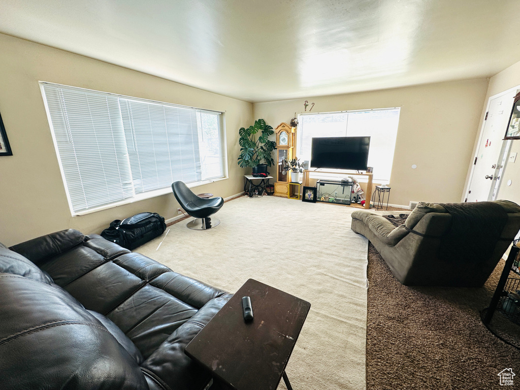 Living room featuring carpet