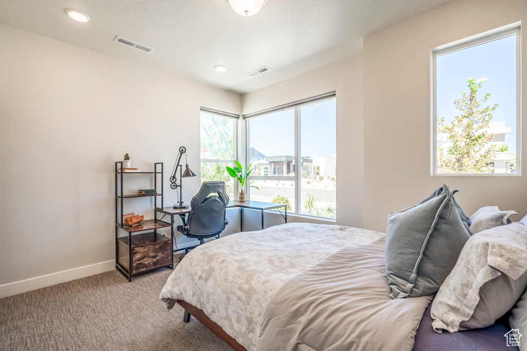 Carpeted bedroom featuring multiple windows