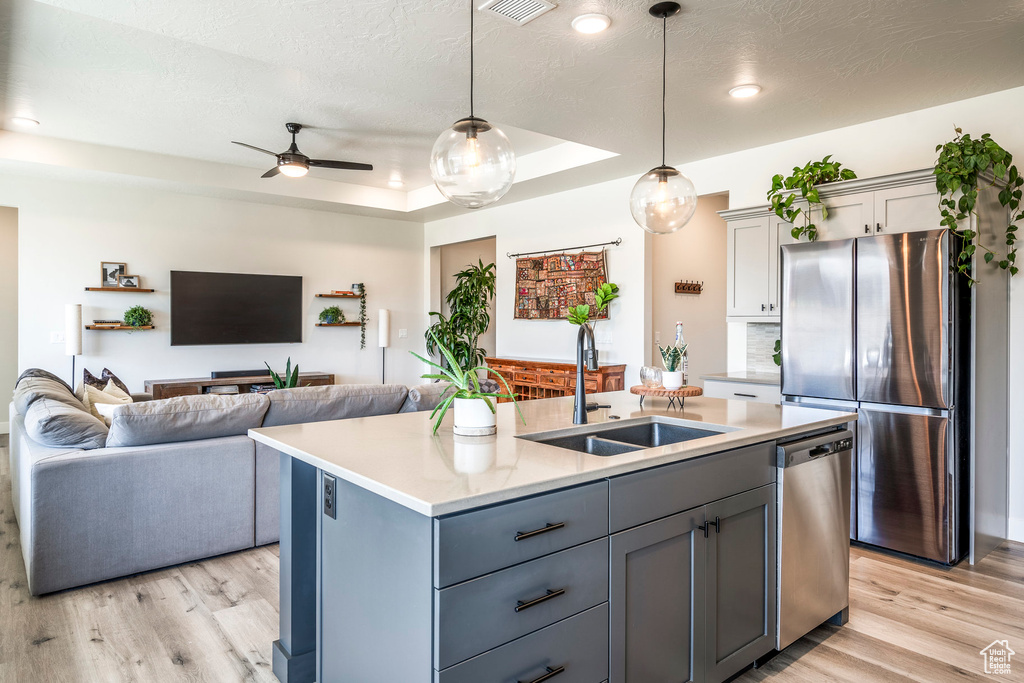 Kitchen with sink, an island with sink, light hardwood / wood-style floors, a tray ceiling, and gray cabinets