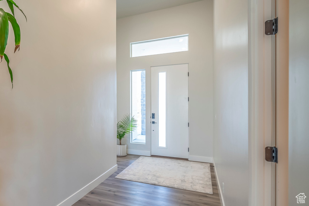 Foyer with a wealth of natural light and hardwood / wood-style floors