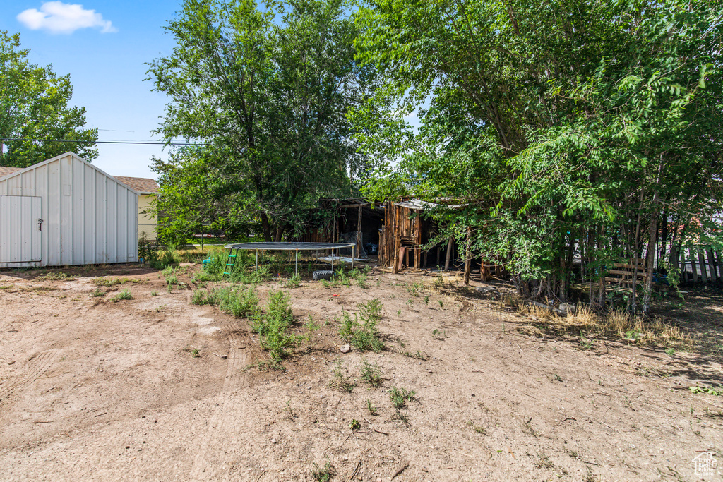 View of yard with a trampoline and a shed