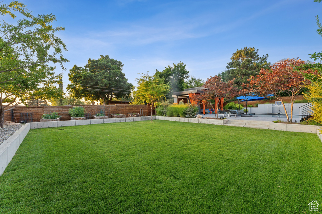 View of yard with a patio