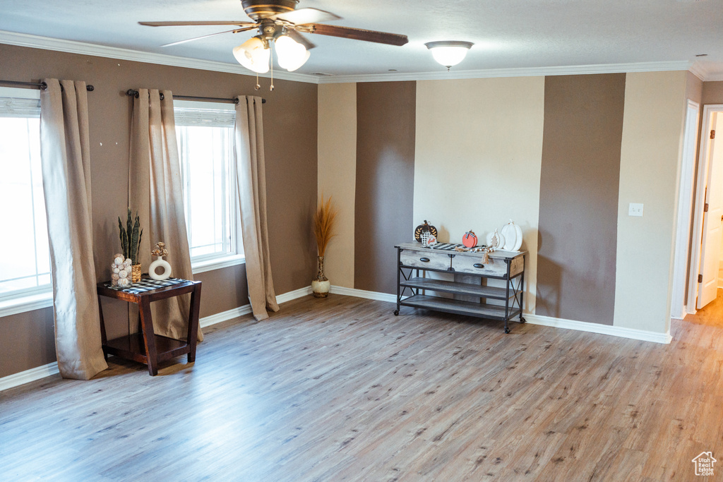 Misc room with ceiling fan, wood-type flooring, and a healthy amount of sunlight