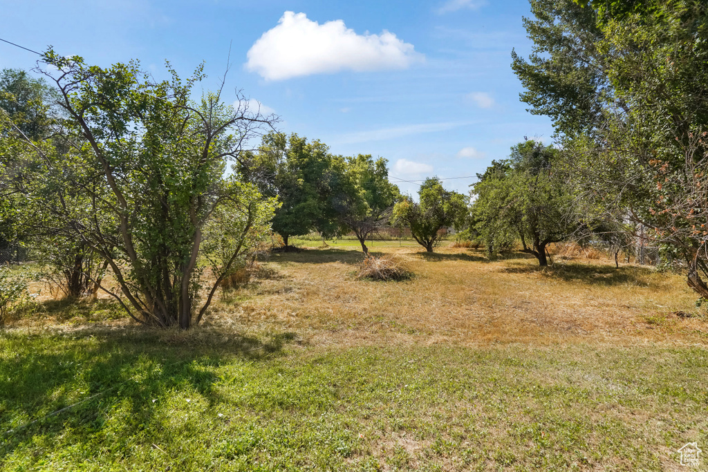 View of yard with a rural view