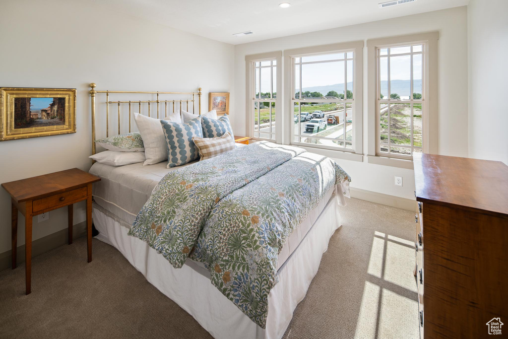 Bedroom with light carpet