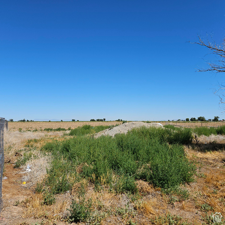 View of local wilderness featuring a rural view