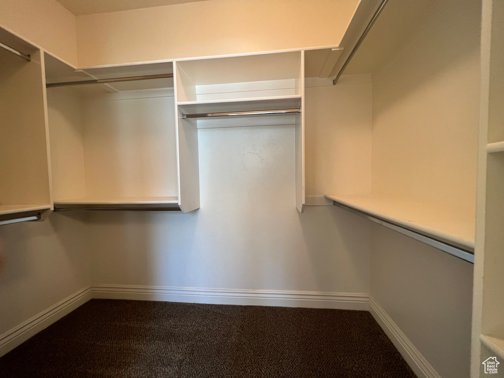 Spacious closet featuring carpet floors