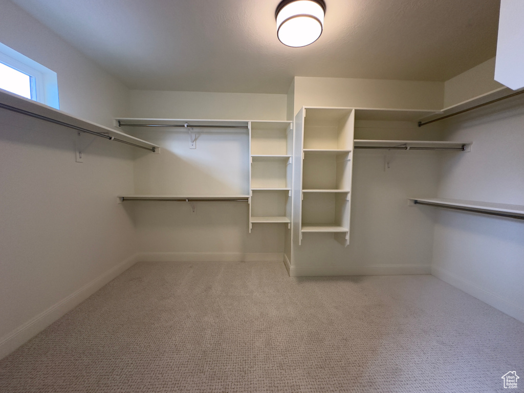 Walk in closet featuring carpet